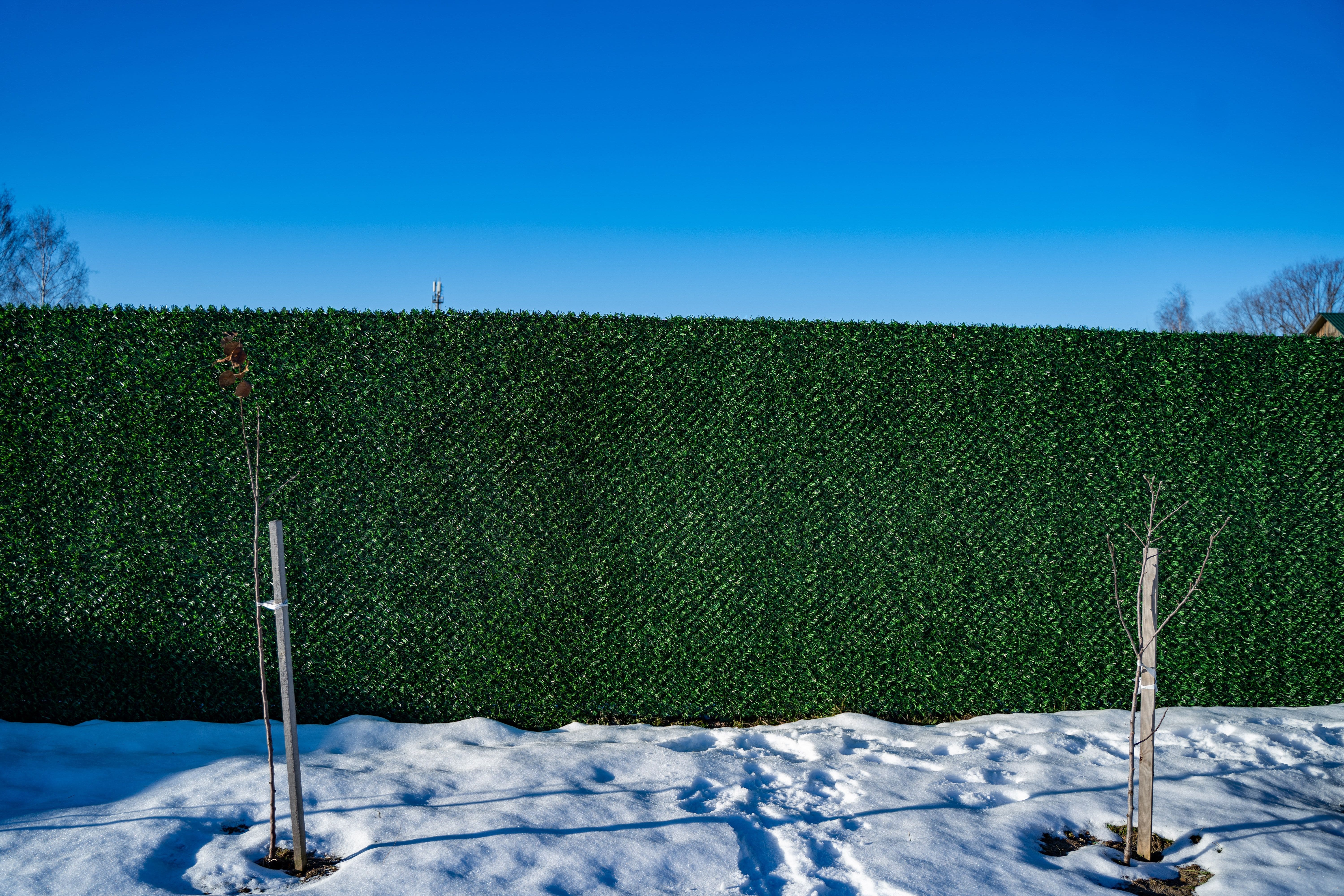 Вечнозеленый забор Grass Fence рулон 2м фото 8 в Иркутске