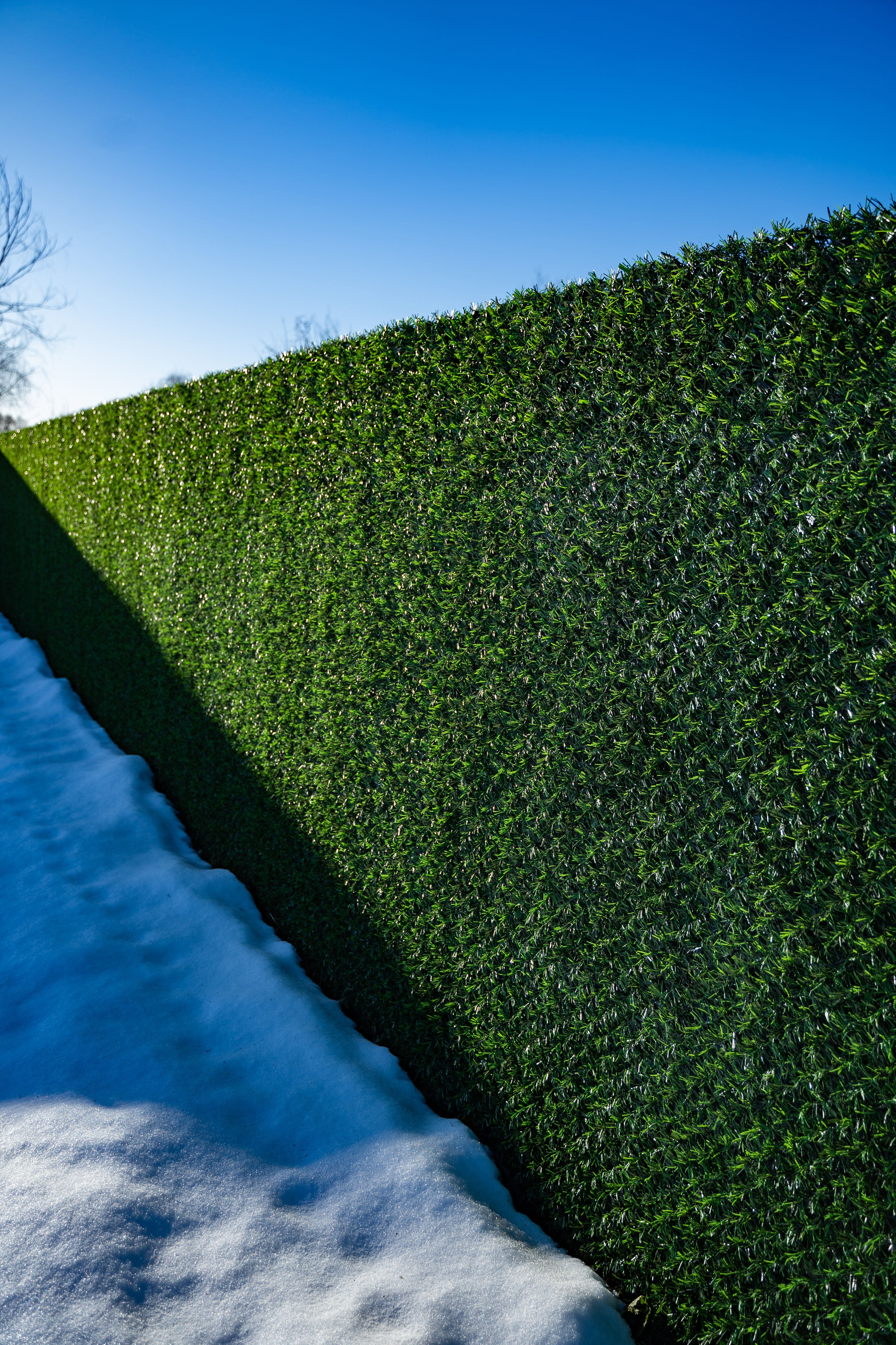 Вечнозеленый забор Grass Fence рулон 2м фото 6 в Иркутске